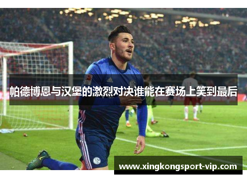 帕德博恩与汉堡的激烈对决谁能在赛场上笑到最后